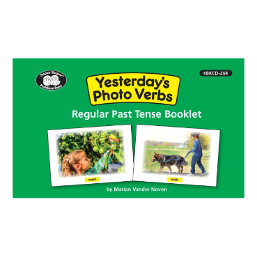 Yesterday's Photo Verbs