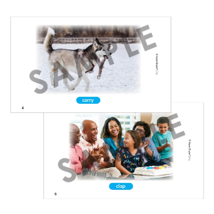 Yesterday's Photo Verbs