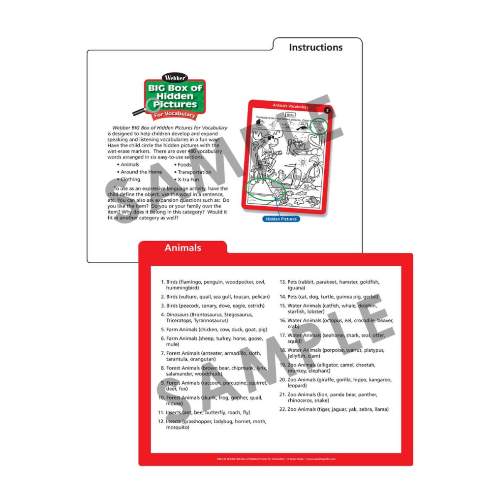 Webber® BIG Box of Hidden Pictures for Vocabulary