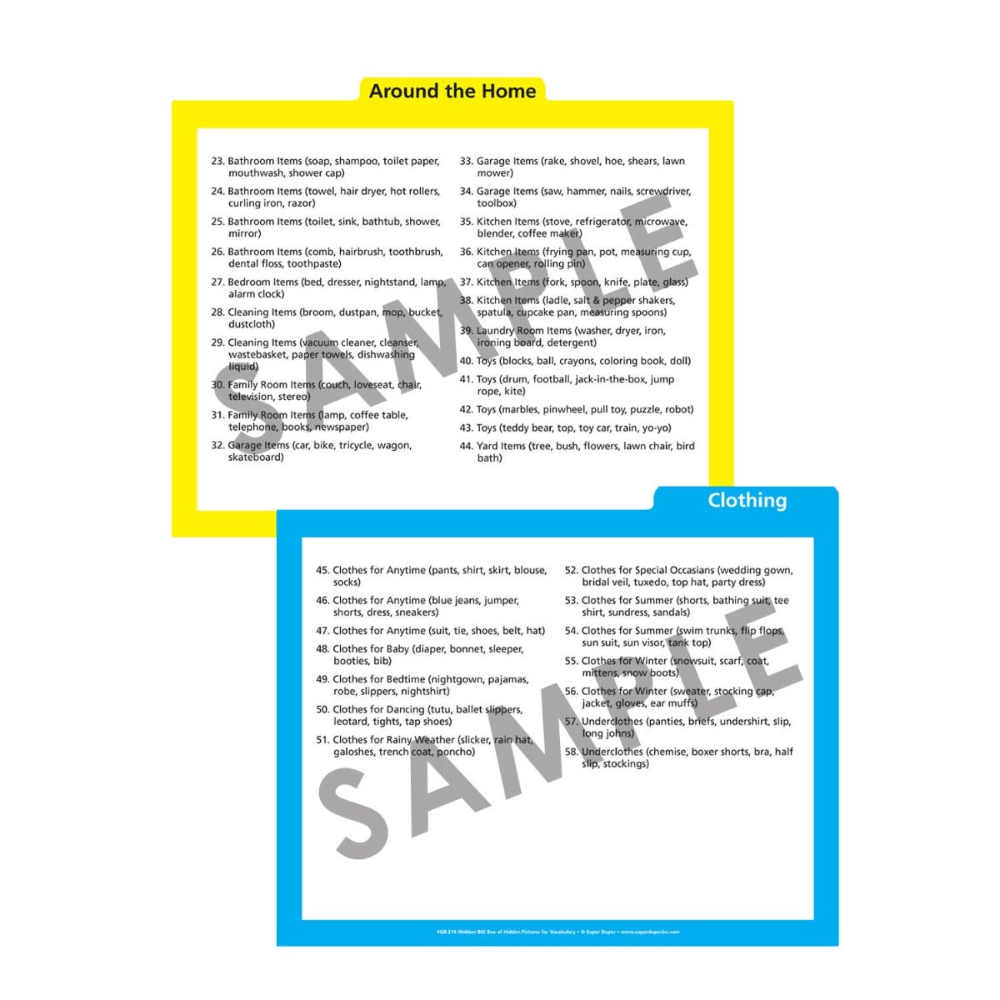 Webber® BIG Box of Hidden Pictures for Vocabulary