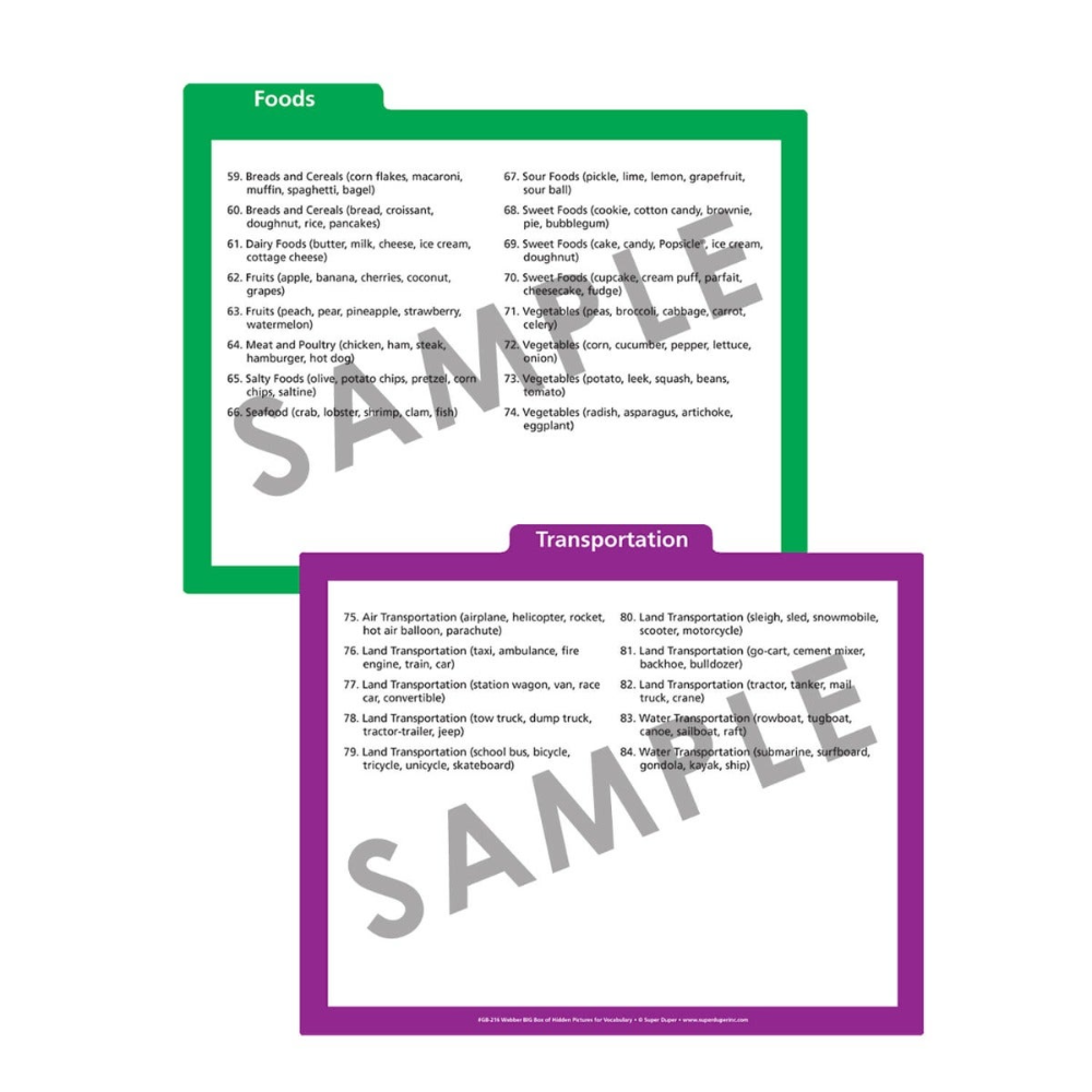 Webber® BIG Box of Hidden Pictures for Vocabulary