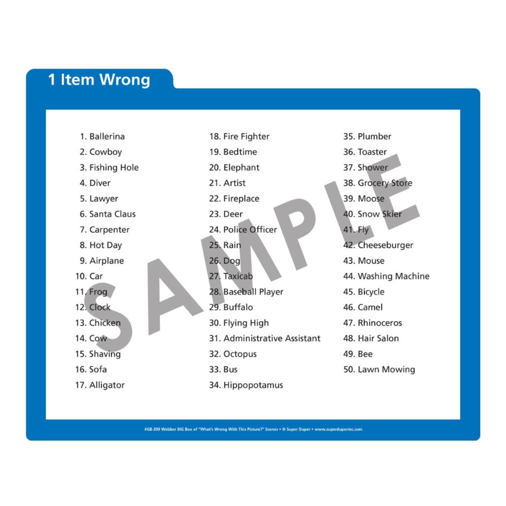 Webber® BIG Box of "What's Wrong with This Picture?" Scenes