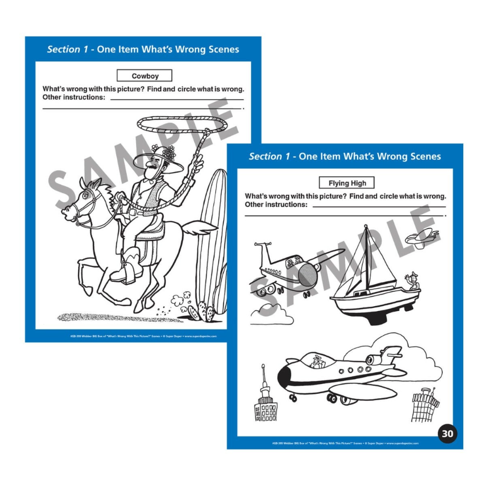 Webber® BIG Box of "What's Wrong with This Picture?" Scenes