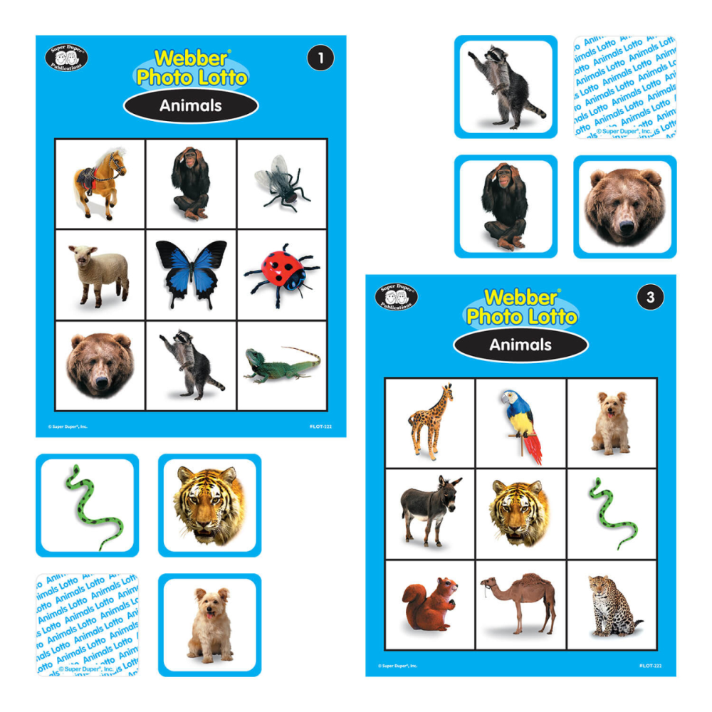 Webber® Photo Lotto Games Bundle