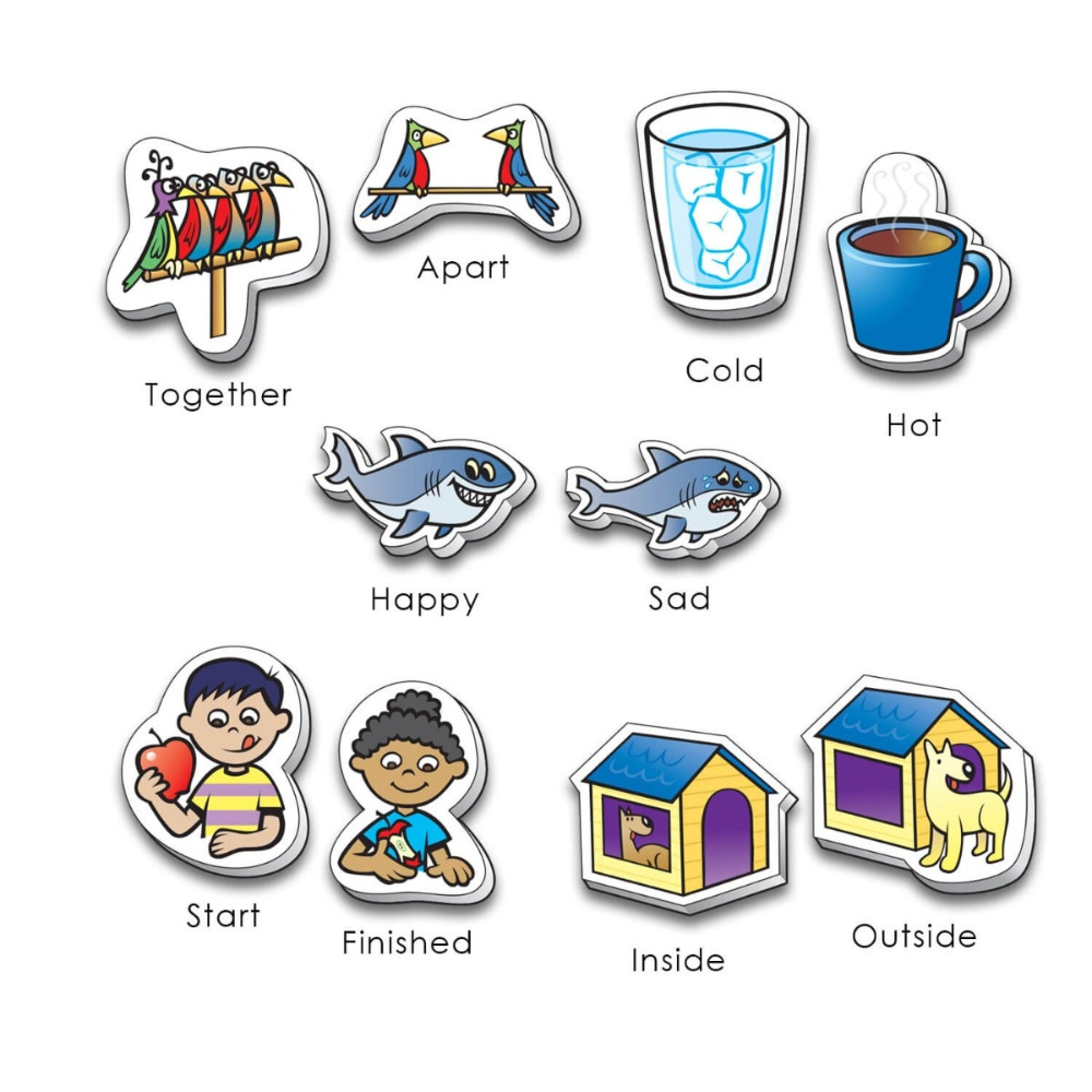 Webber Basic Concepts MagneFoam Magnets