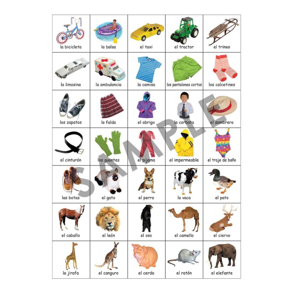 MagneTalk Spanish Early Classifying