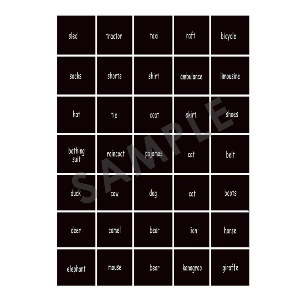 MagneTalk Spanish Early Classifying
