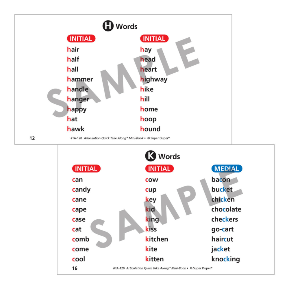 Articulation Quick Take Along® Mini-Book