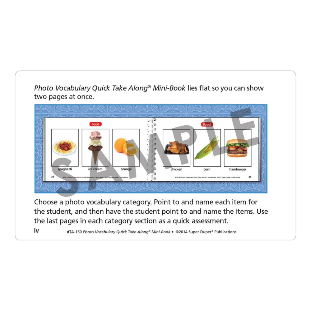Photo Vocabulary Quick Take Along® Mini-Book