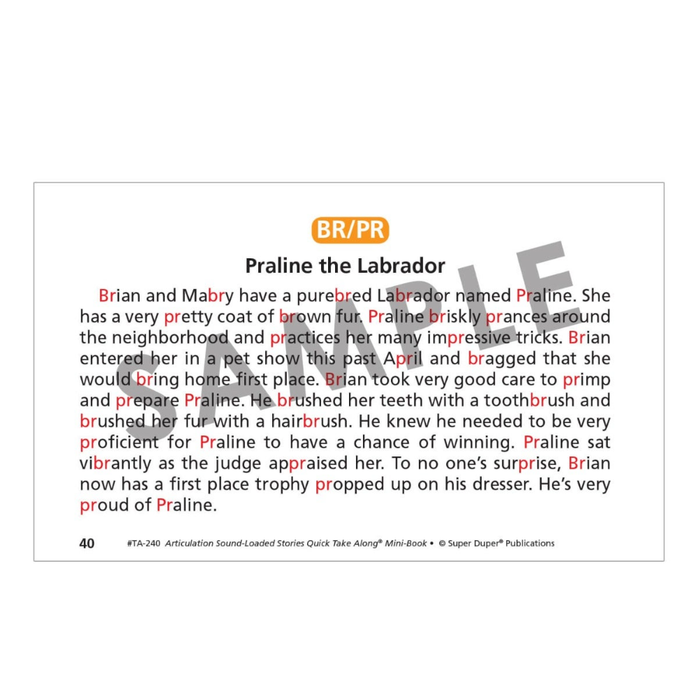 Articulation Sound-Loaded Stories Quick Take Along® Mini-Book