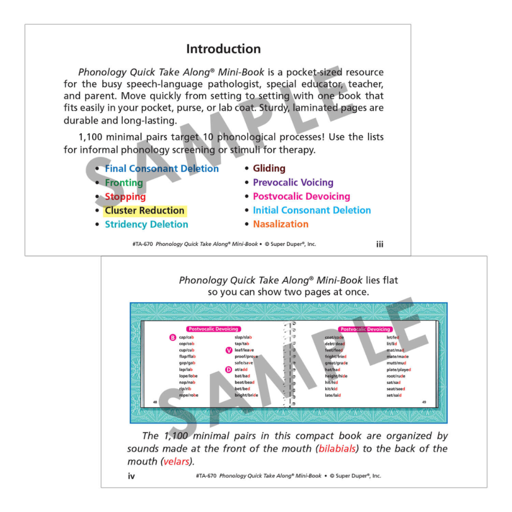Phonology Quick Take Along® Mini-Book