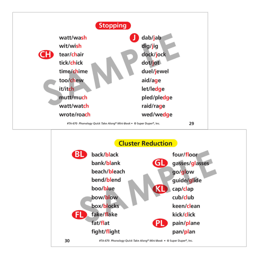 Phonology Quick Take Along® Mini-Book