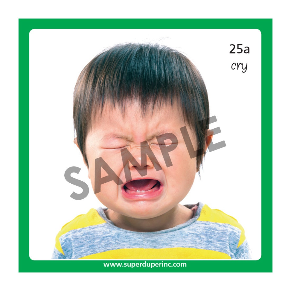 Webber® Mini Verbs Photo Cards