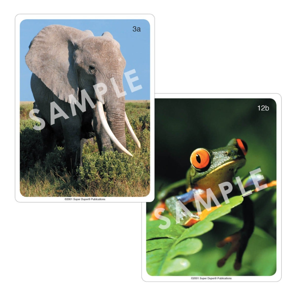 Webber® Photo Cards (Animals)