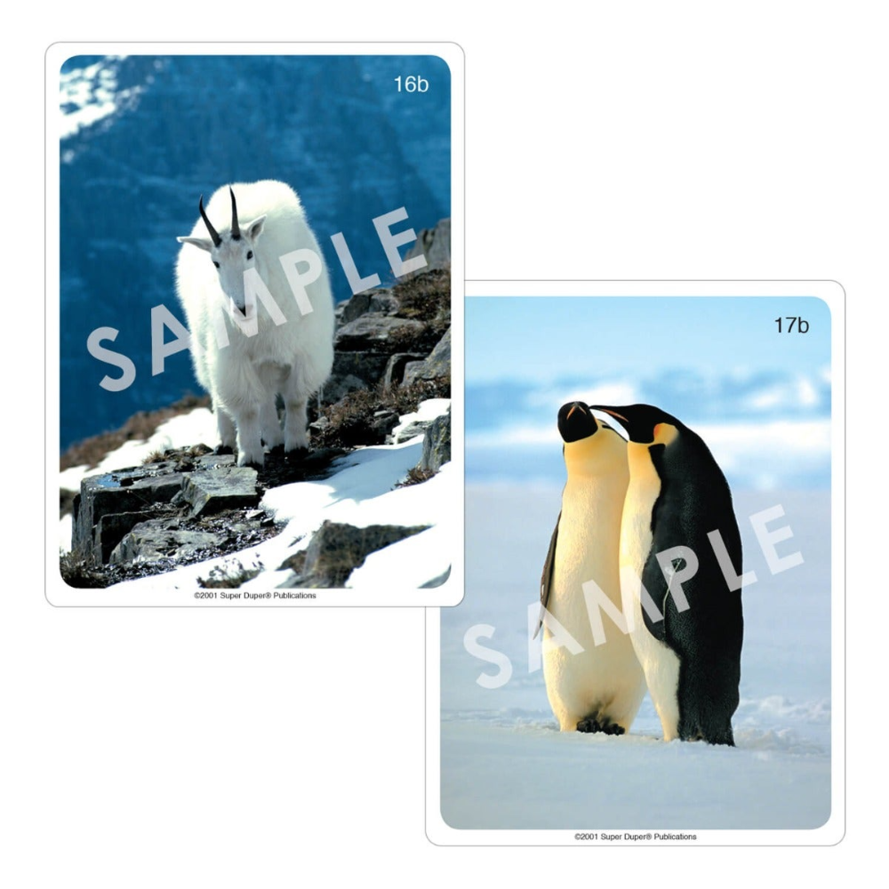 Webber® Photo Cards (Animals)