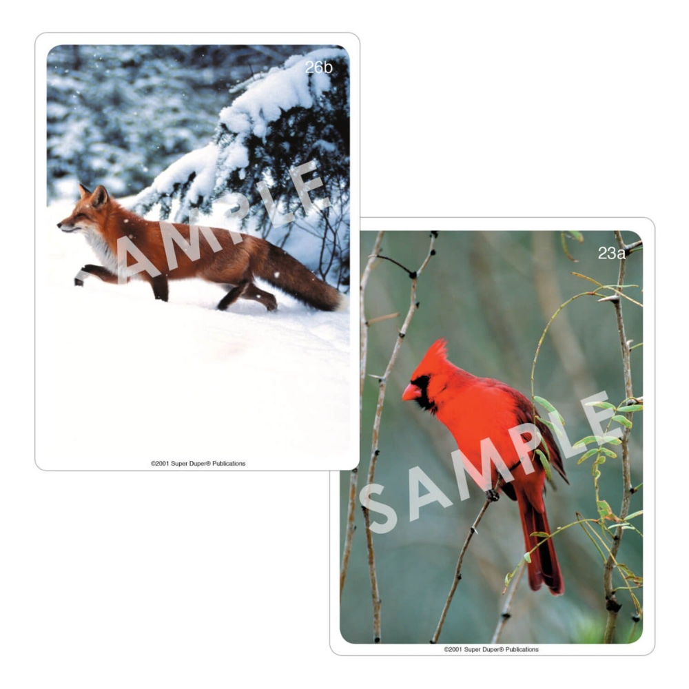 Webber® Photo Cards (Animals)