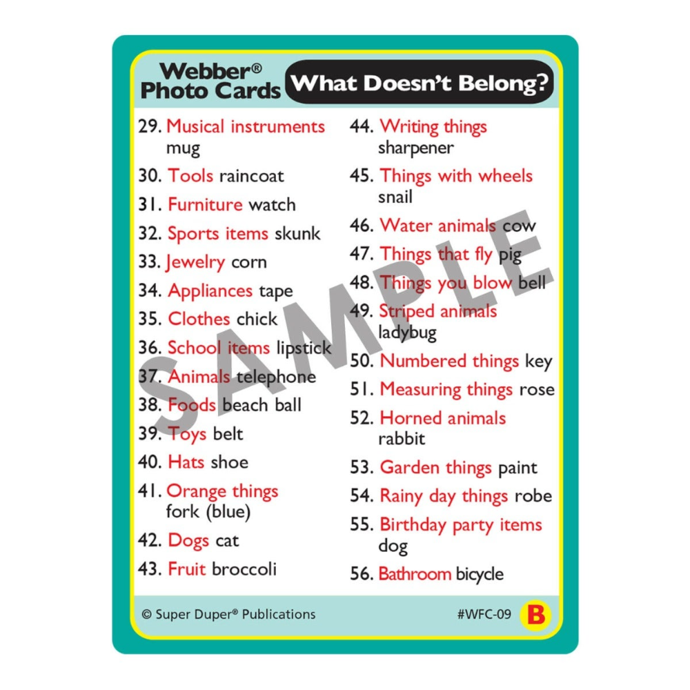 Webber® Photo Cards (What Doesn't Belong?)