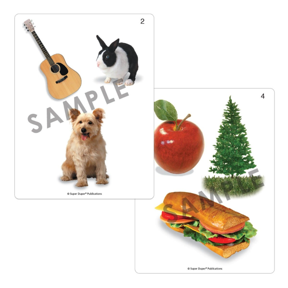 Webber® Photo Cards (What Doesn't Belong?)