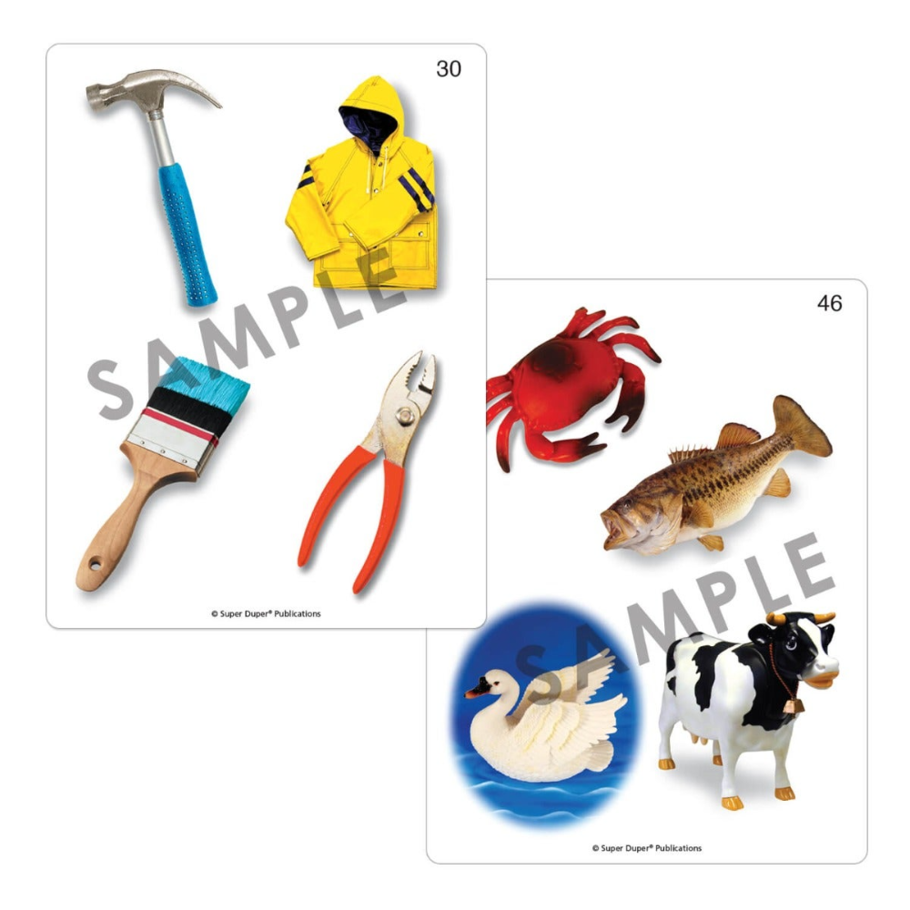 Webber® Photo Cards (What Doesn't Belong?)