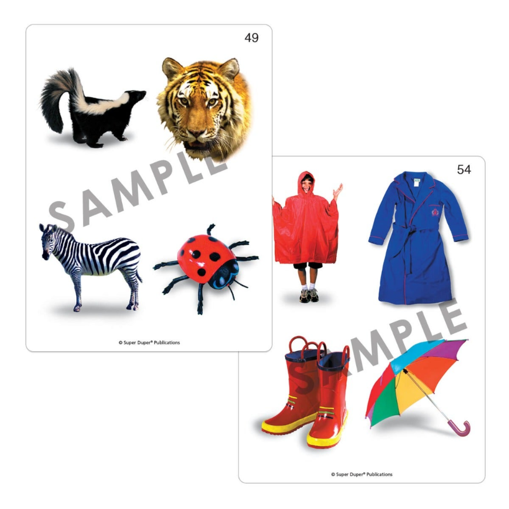 Webber® Photo Cards (What Doesn't Belong?)