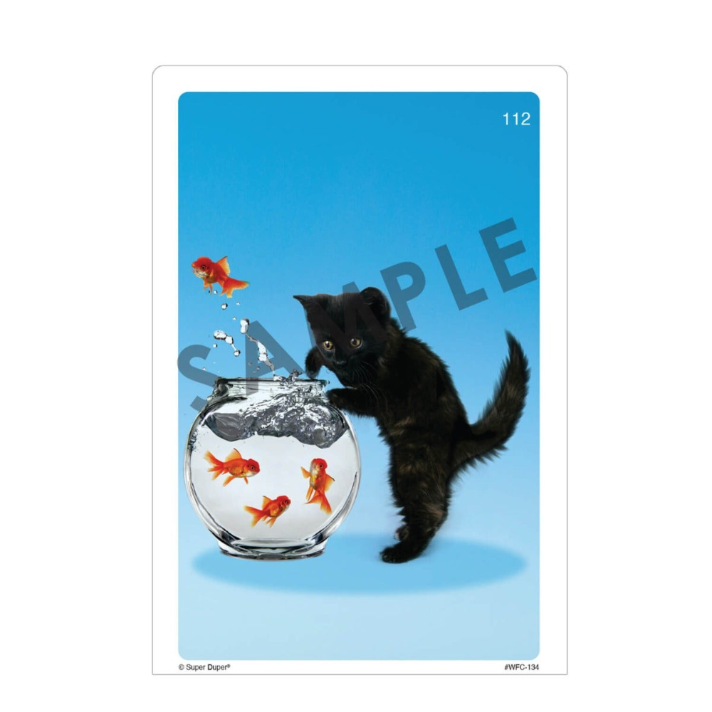 Webber® Photo Cards (Story Starters)