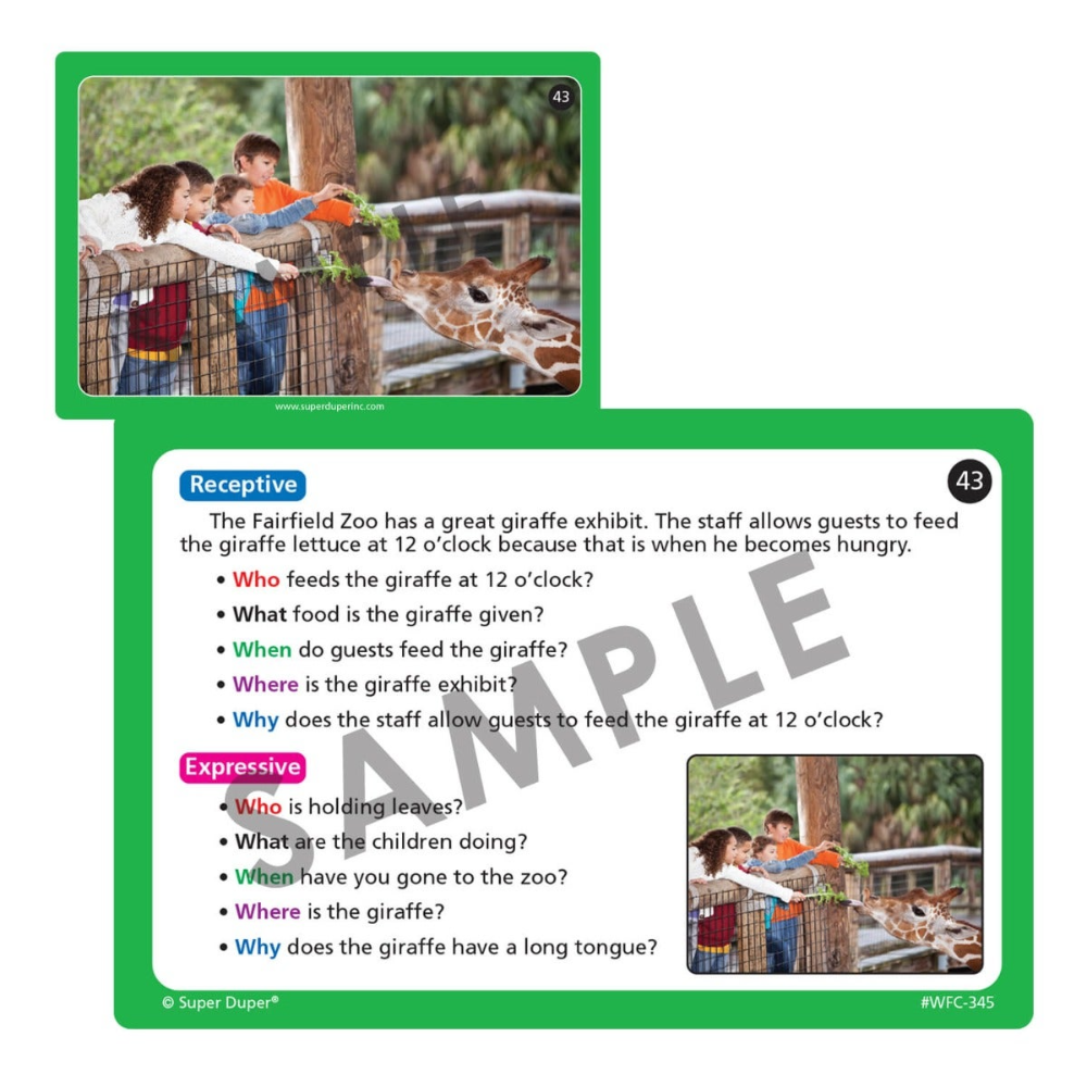 Webber Photo Cards (WH Questions)