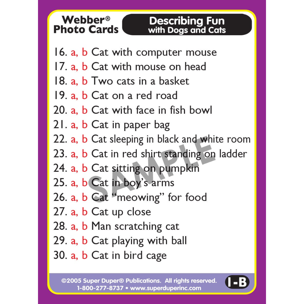 Webber Photo Cards (Describing Fun with Dogs and Cats)