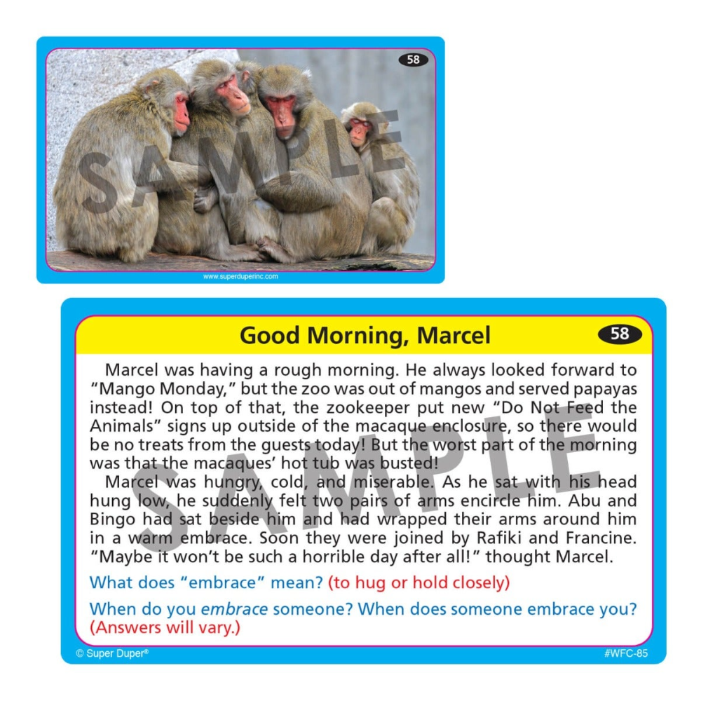 Webber Photo Cards (Story Retell)
