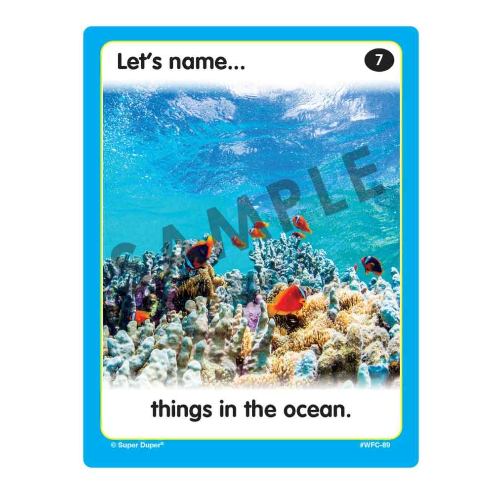 Webber Photo Cards (Let's Name Things)