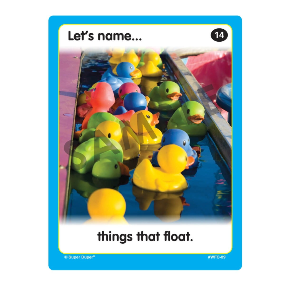 Webber Photo Cards (Let's Name Things)