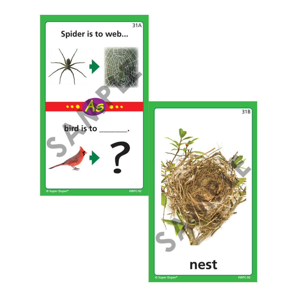 Webber® Analogies photo cards – spider to web and bird to nest analogy example