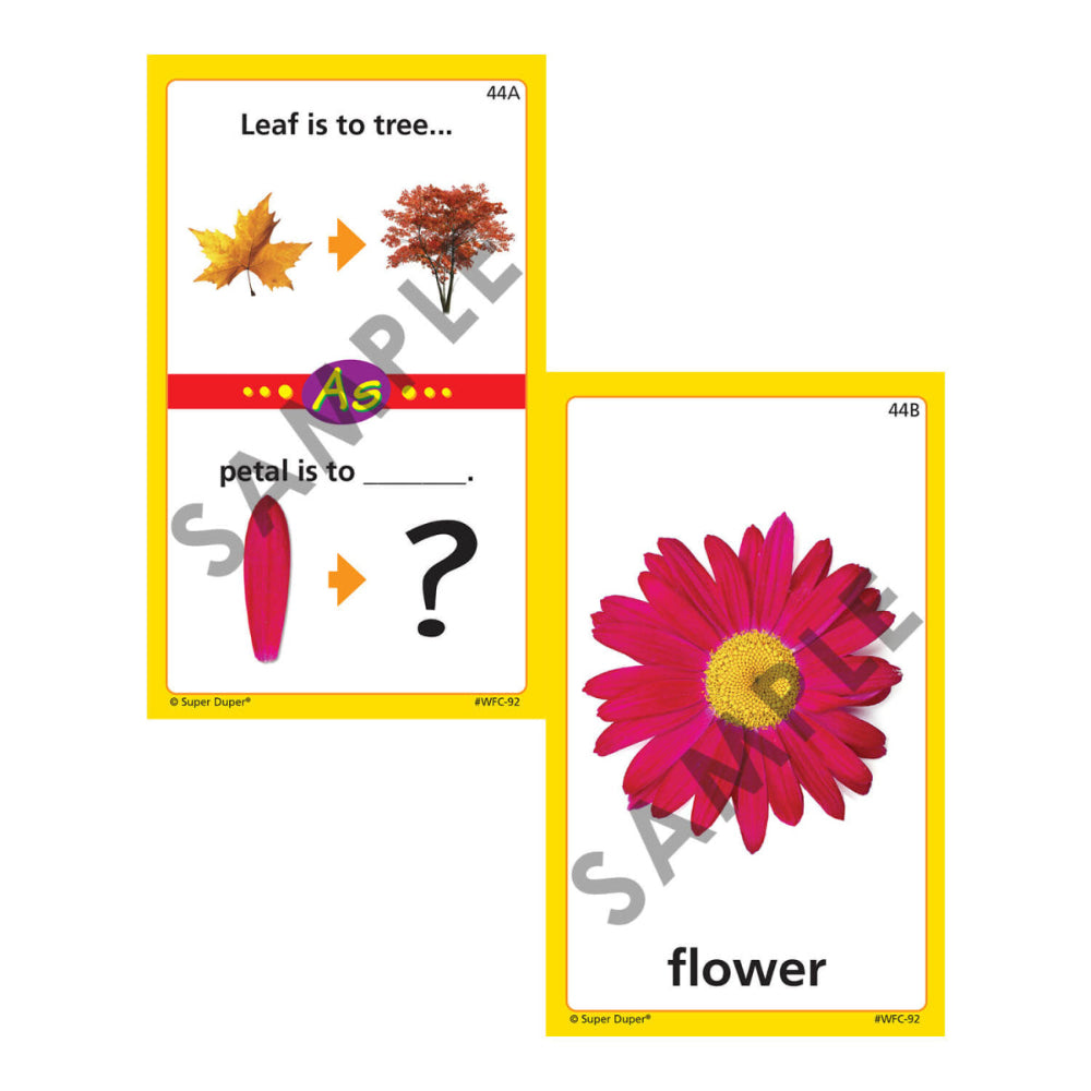 Webber® Analogies photo cards – leaf to tree and petal to flower analogy example